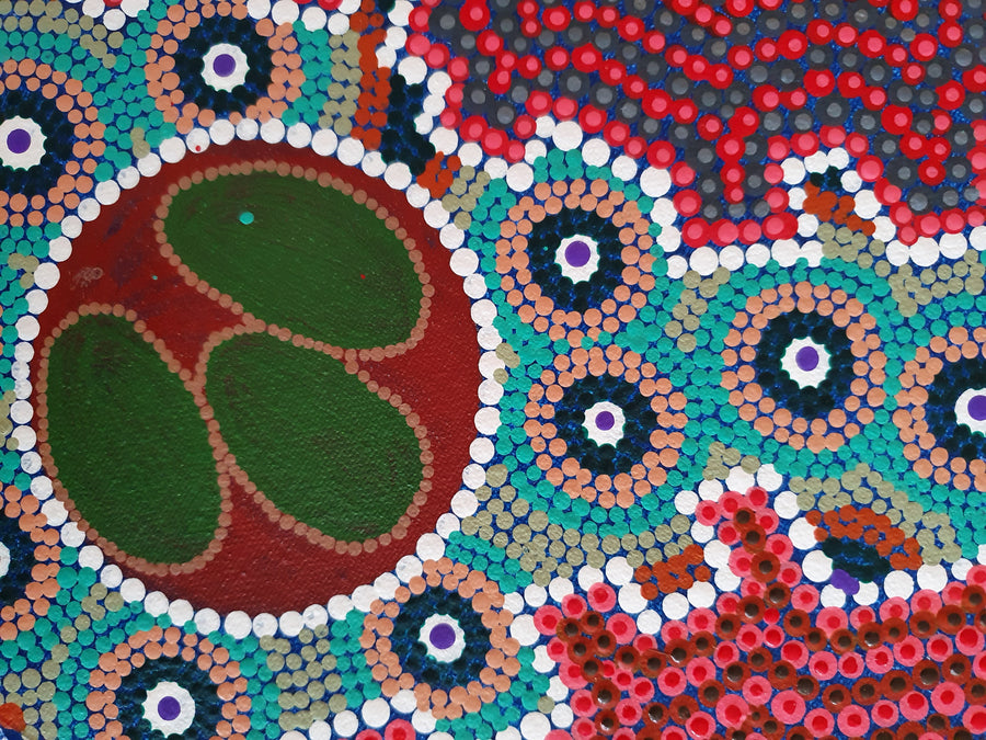 Indigenous-Art-Wild-Food-Felicity-Edwards